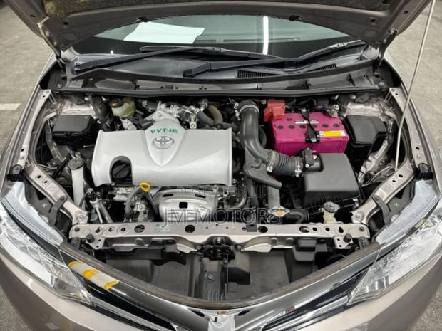 Toyota Axio 2019 Gold