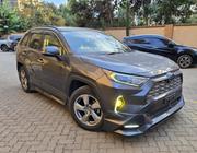 Toyota RAV4 Hybrid 2019 Gray for sale