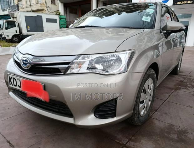 Toyota Axio 2015 Brown