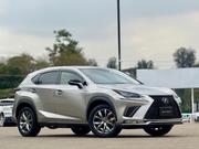 Lexus NX 300h Base 4x4 (2.5L 4cyl 2A) 2018 Silver for sale