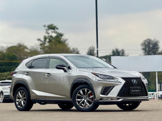 Lexus NX 300h Base 4x4 (2.5L 4cyl 2A) 2018 Silver