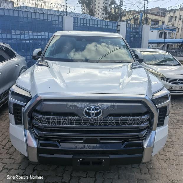 New Nissan Terrano 2024 White
