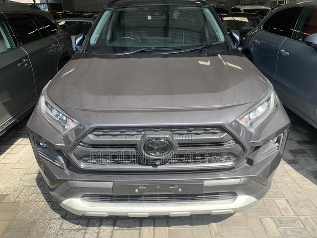 Toyota RAV4 LE AWD 2019 Gray