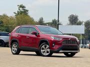 Toyota RAV4 2019 Red for sale