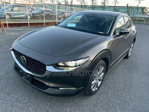 Mazda CX-30 Select i-Activ 2020 Gray
