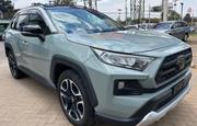 Toyota RAV4 Adventure 2019 Gray for sale
