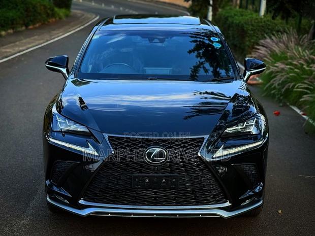 Lexus NX 300h AWD 2018 Silver