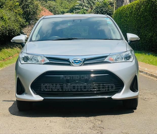 Toyota Corolla Fielder 2019 Silver