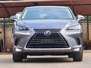 Lexus NX 300h 2019 Gray for sale