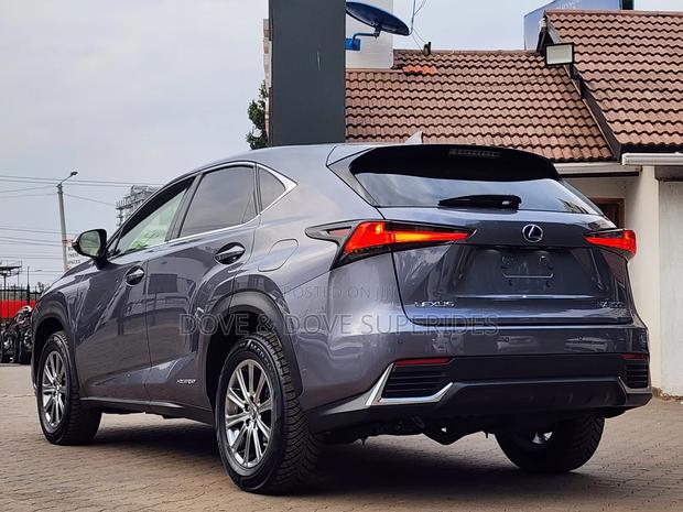 Lexus NX 300h 2019 Gray