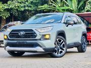 Toyota RAV4 Adventure 2019 Green for sale