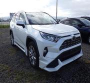 Toyota RAV4 XLE Premium AWD 2019 Pearl for sale