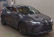Lexus NX 2022 Gray for sale