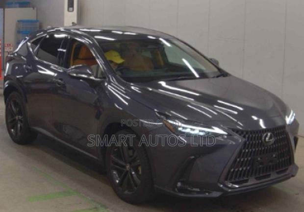 Lexus NX 2022 Gray