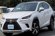 Lexus NX 300 AWD 2018 White for sale