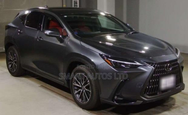 Lexus NX 2022