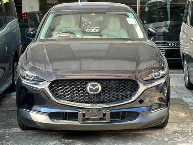 Mazda CX-30 2020 Gray