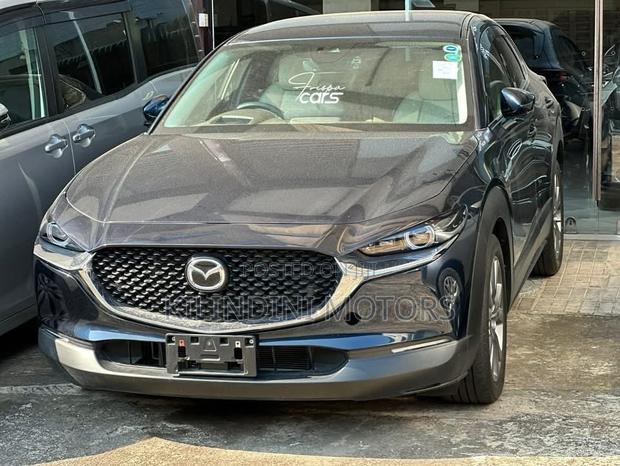 Mazda CX-30 2020 Gray