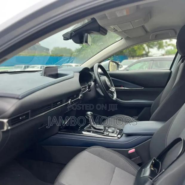 Mazda CX-30 Premium 2020 Silver