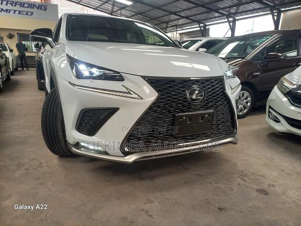 Lexus NX 2019 White