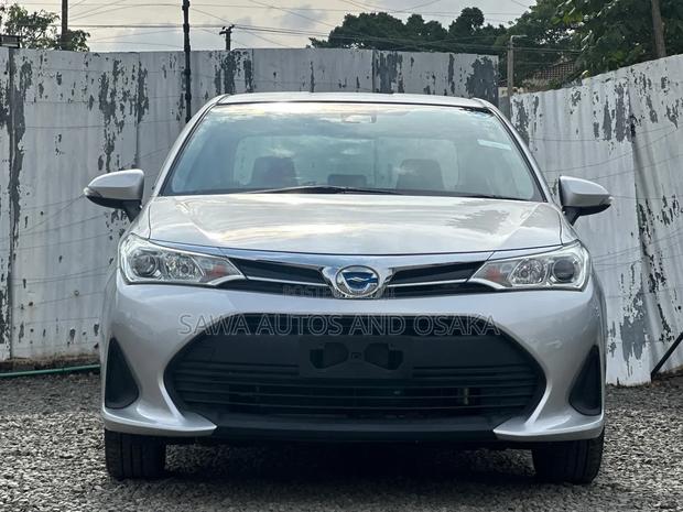 Toyota Axio 2019 Silver
