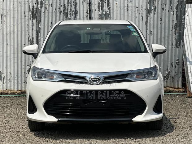 Toyota Corolla Fielder 2019 White