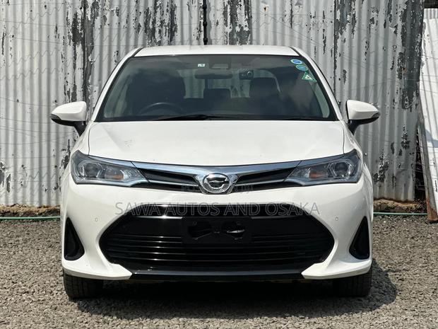 Toyota Corolla Fielder 2019 White