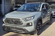 Toyota RAV4 Adventure 2019 for sale