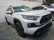 Toyota RAV4 Adventure 2019 White for sale