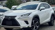 Lexus NX 300h Base 4x4 (2.5L 4cyl 2A) 2018 White for sale
