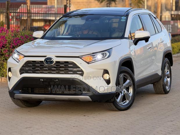 Toyota RAV4 Adventure 2019 Pearl