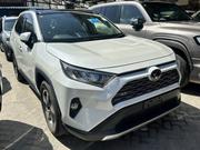 Toyota RAV4 LE AWD 2019 White for sale