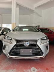 Lexus NX 300h 2019 Silver for sale