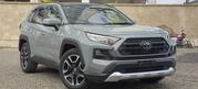 Toyota RAV4 Adventure 2019 Gray for sale