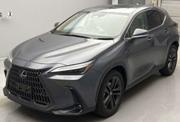 Lexus NX 300h 2020 Gray for sale
