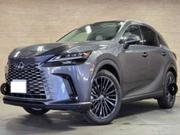 Lexus RX 2023 Gray for sale