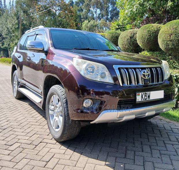 Toyota Land Cruiser Prado 4.0 Petrol TZ-G 2011 Purple