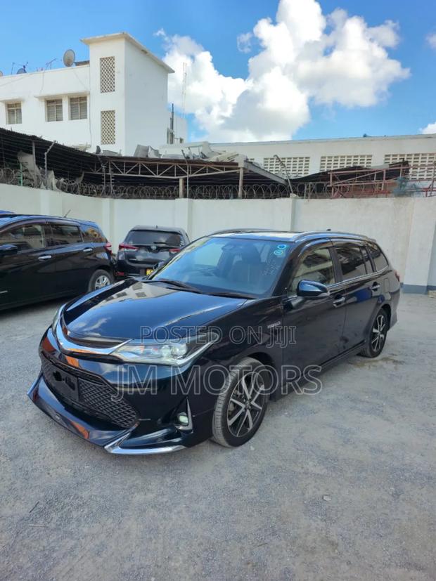Toyota Corolla Fielder 2019 Burgundy