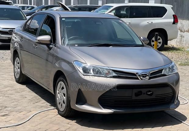 Toyota Axio 1.5 G 2WD 2018 Brown