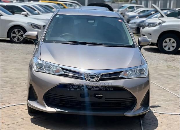 Toyota Axio 1.5 G 2WD 2018 Brown