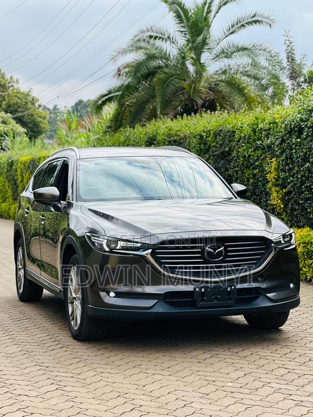 Mazda CX-8 2018 Brown