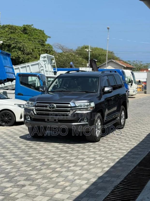 Toyota Land Cruiser 4.5 V8 TD 2019 Gray