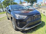 Toyota RAV4 XLE AWD 2019 Black for sale