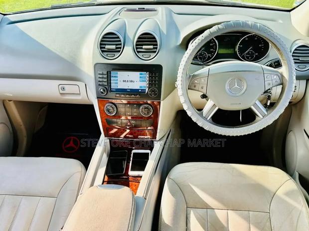 Mercedes-Benz M Class 2007 Gold