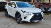 Lexus NX 200 AWD 2019 White for sale