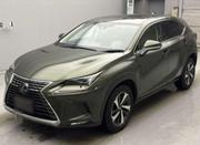 Lexus NX 300 FWD 2020 Green for sale