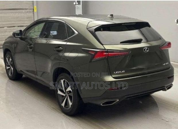 Lexus NX 300 FWD 2020 Green