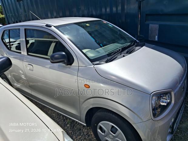 Suzuki Alto 2017 Silver
