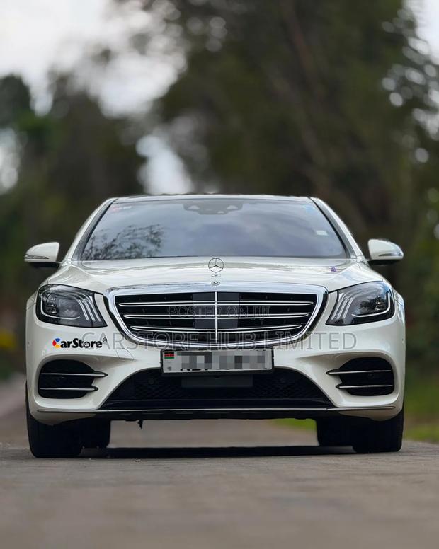Mercedes-Benz S-Class S 450 4MATIC L (V222) 2018 White