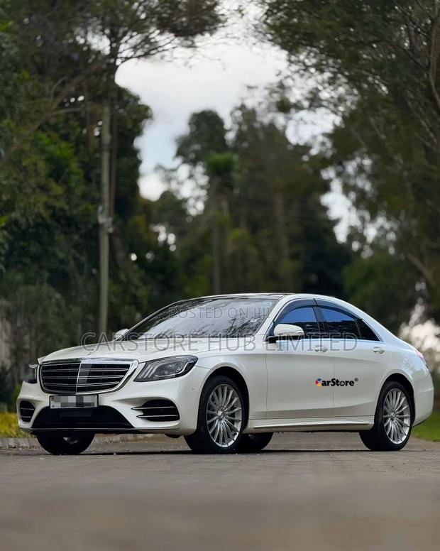 Mercedes-Benz S-Class S 450 4MATIC L (V222) 2018 White